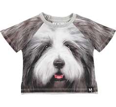 Even T-shirts & Tops